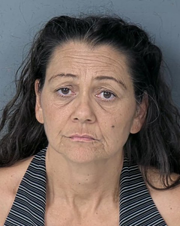 Mugshot of CHRISTINA LEE ALAREDHI