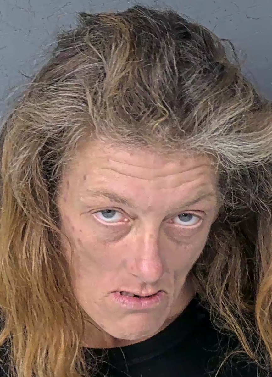 Mugshot of MONICA LYNN GLUCK