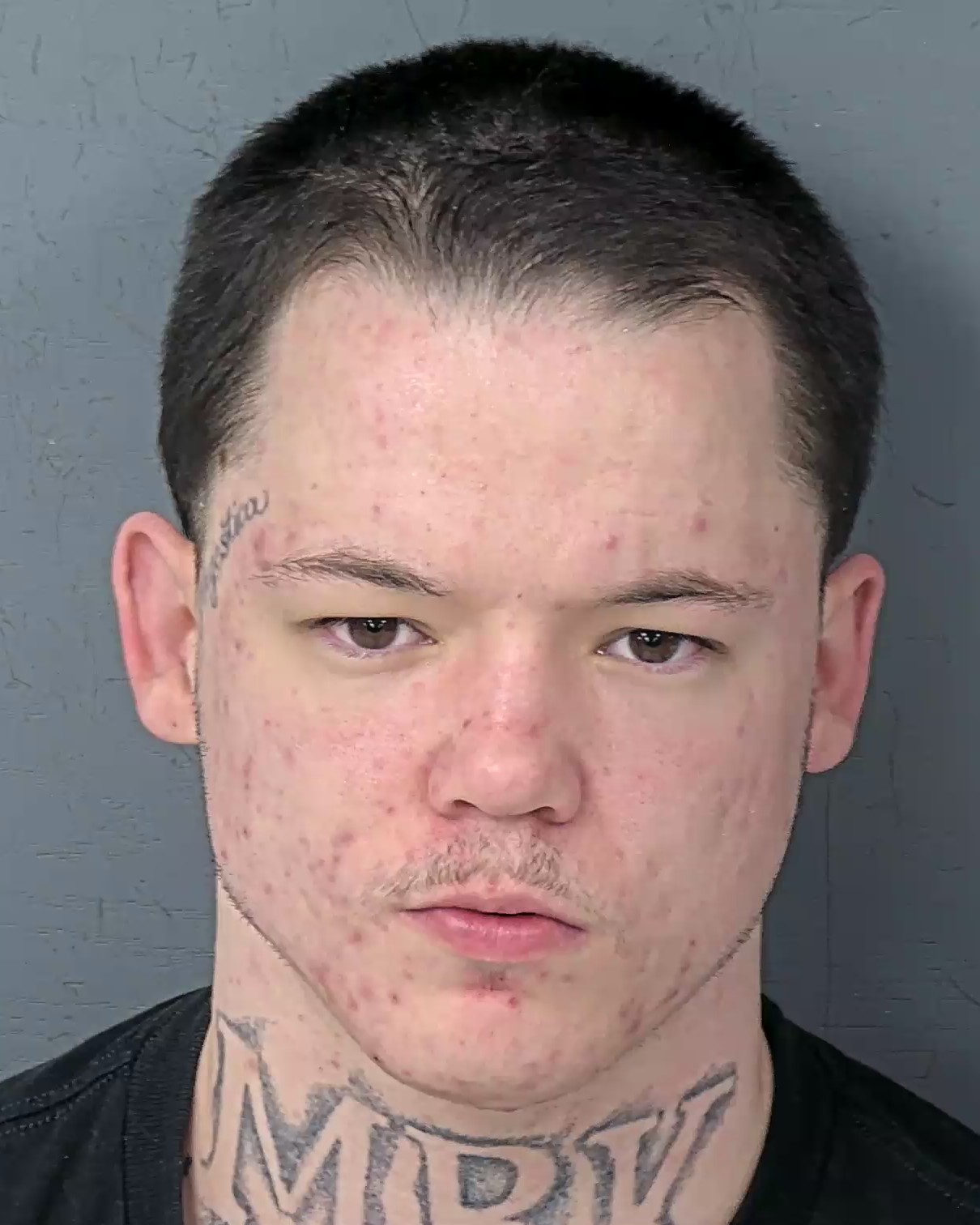 Mugshot of MICHAEL ANGEL PRADO