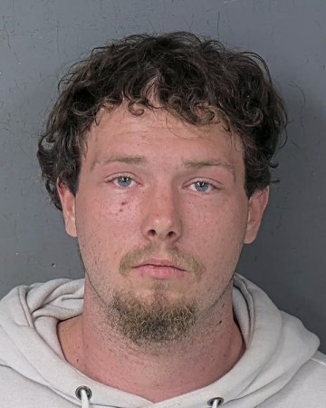 Mugshot of DALTON JOSEPH WEDDING