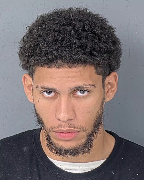 Mugshot of JORGE ARNALDO RIVERA-NIEVES