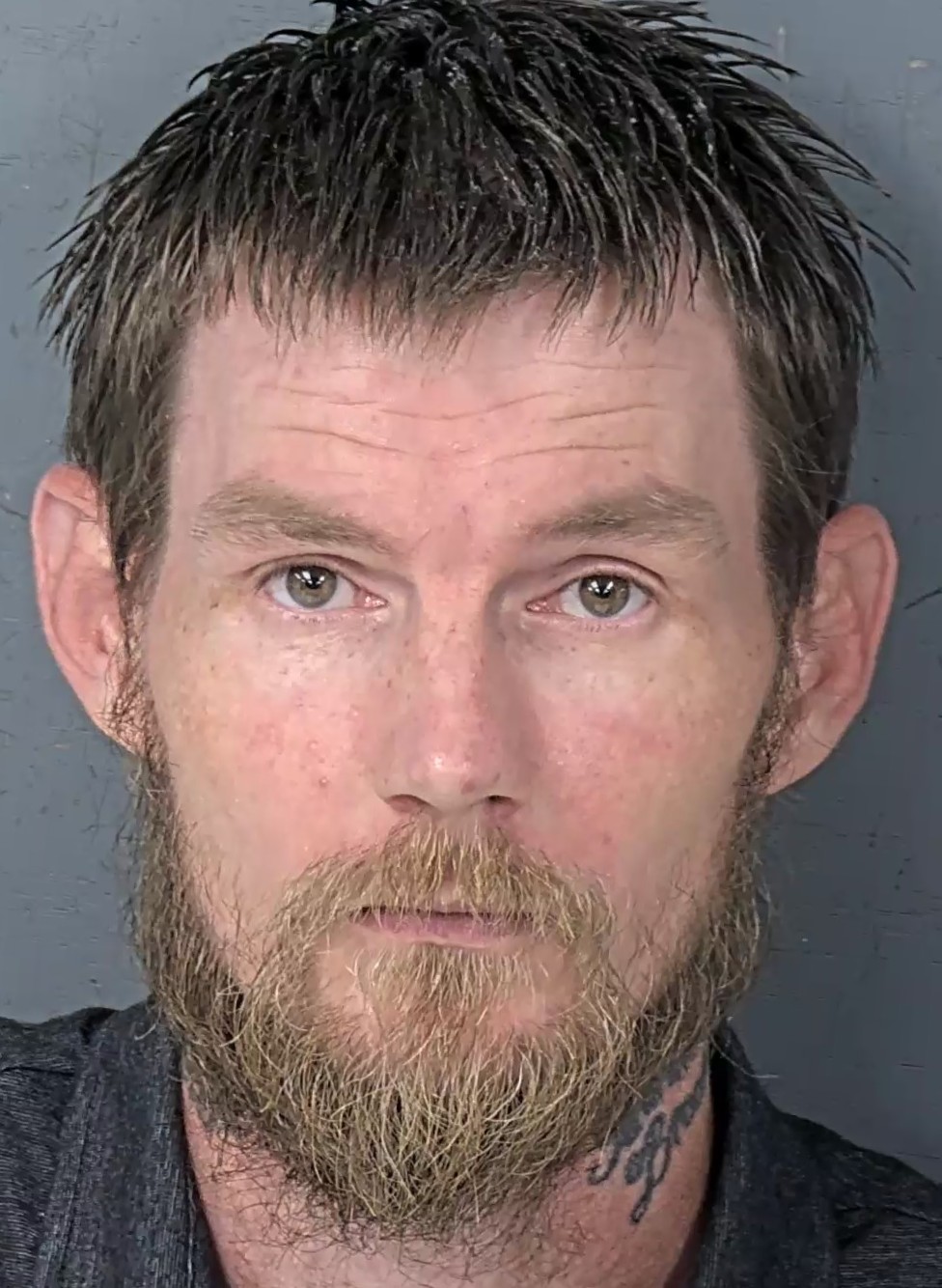 Mugshot of GERALD ALLEN GILBERT