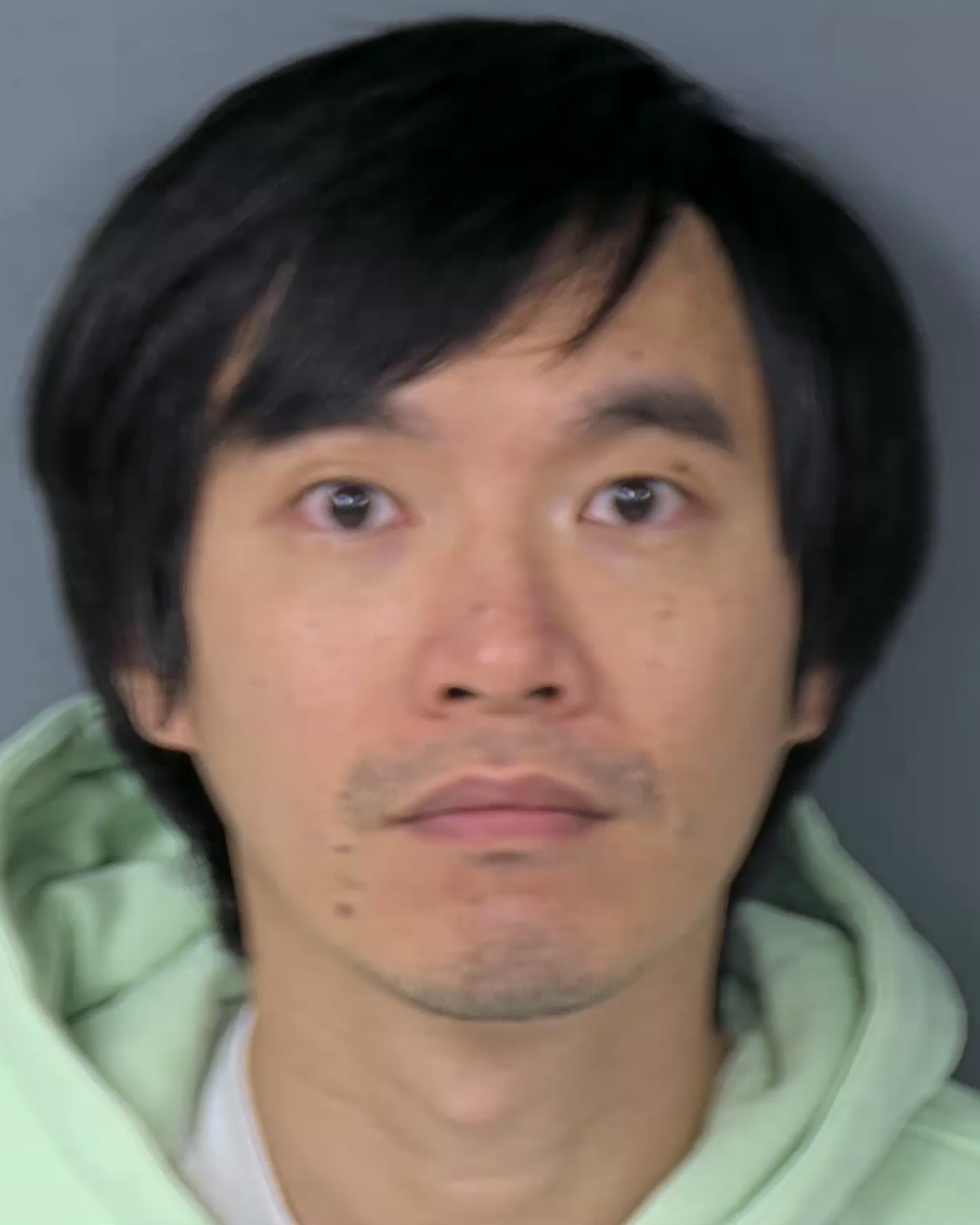 Mugshot of JING CHEN