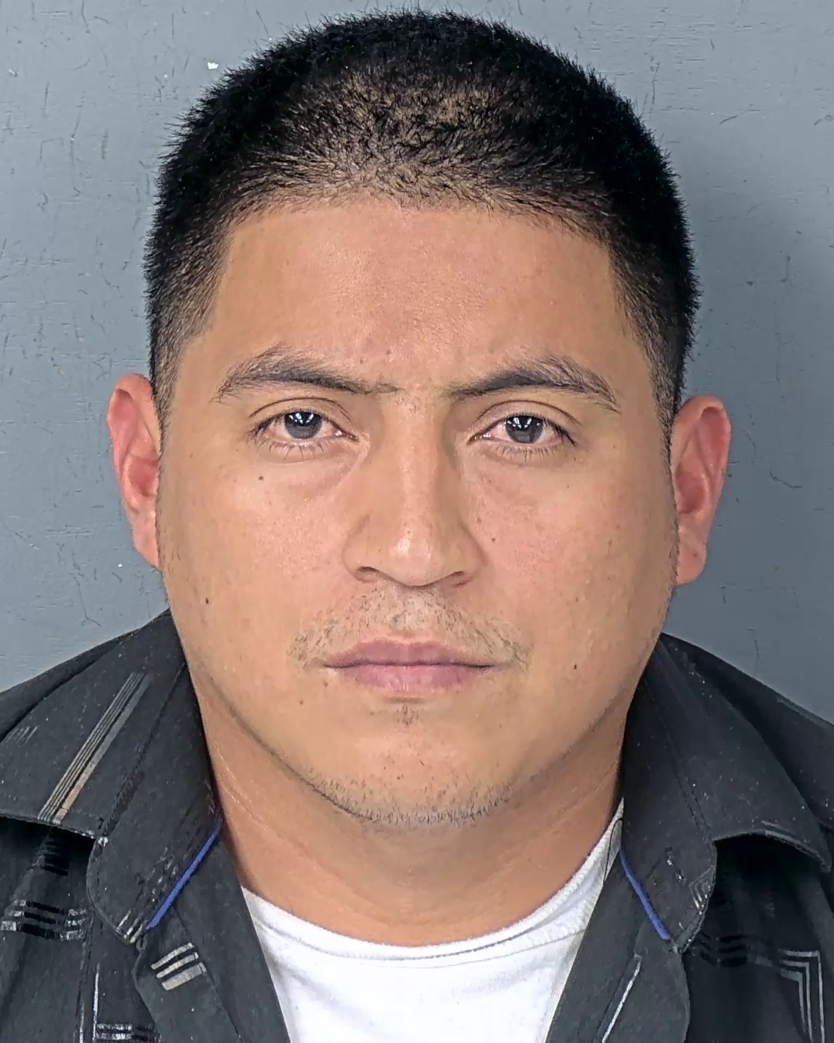 Mugshot of DARLYN VILLATORO MOLINA