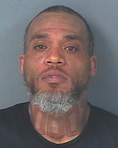 Mugshot of DESNIK TORRELL WILLIAMS