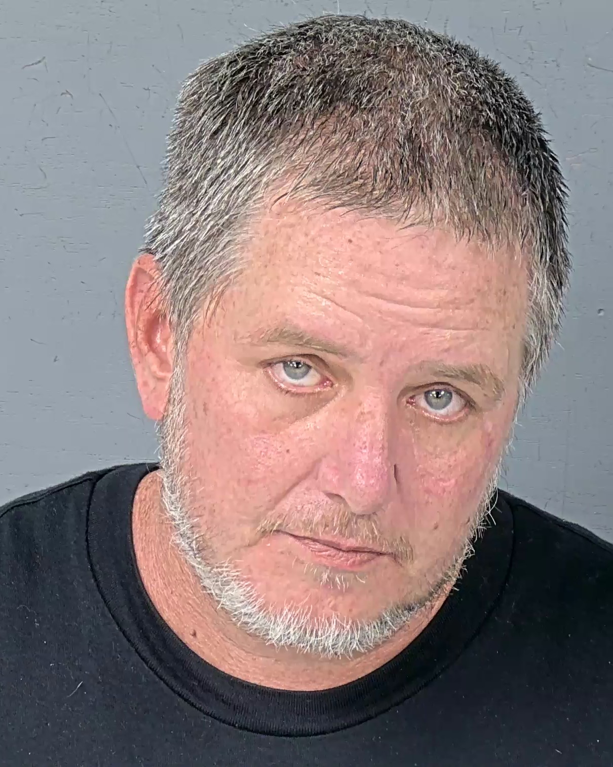 Mugshot of JAMES MICHALE LILLIE