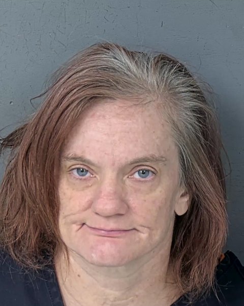 Mugshot of LISA FAYE CHESAROK