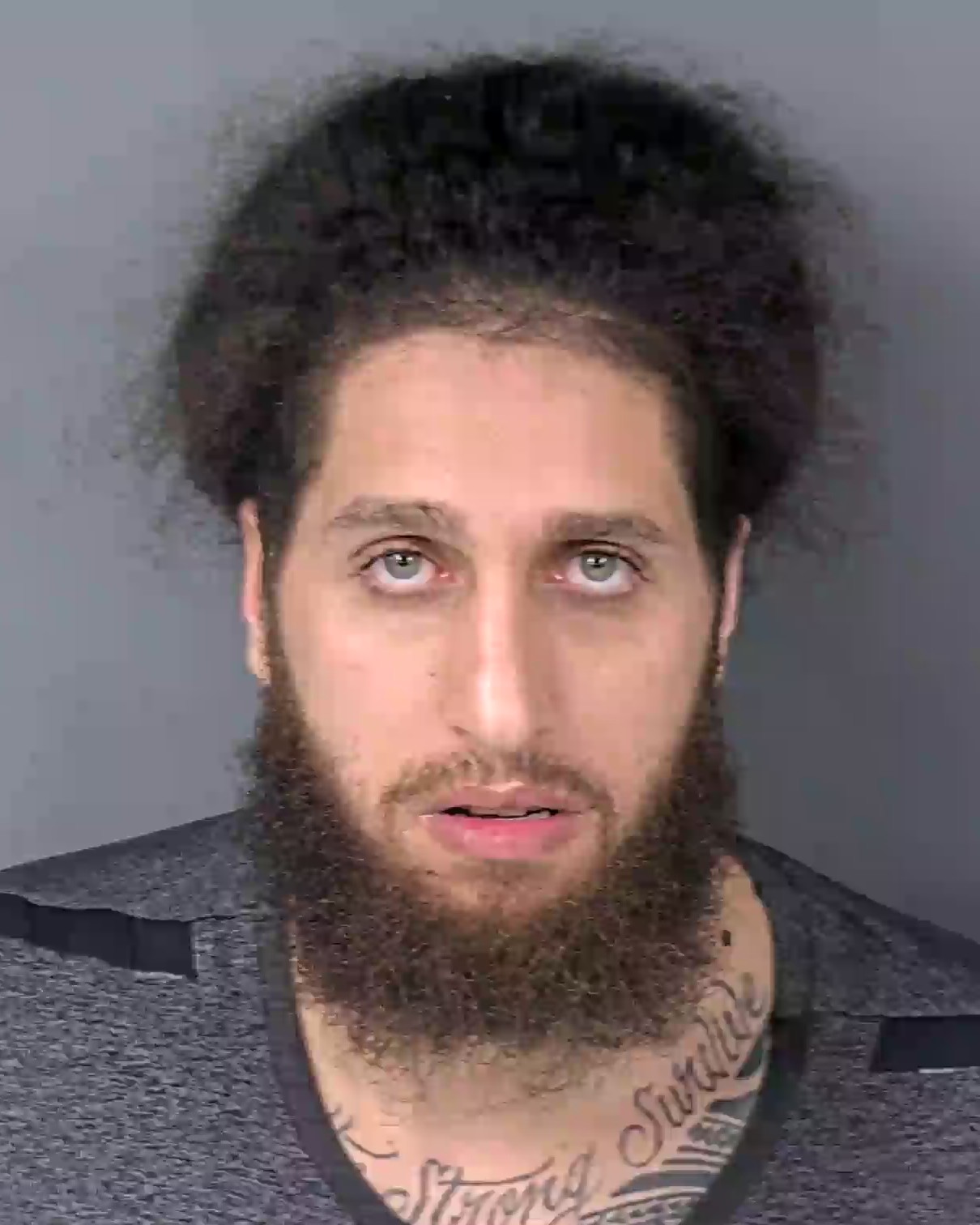 Mugshot of MOHAMED NIDAL JABER