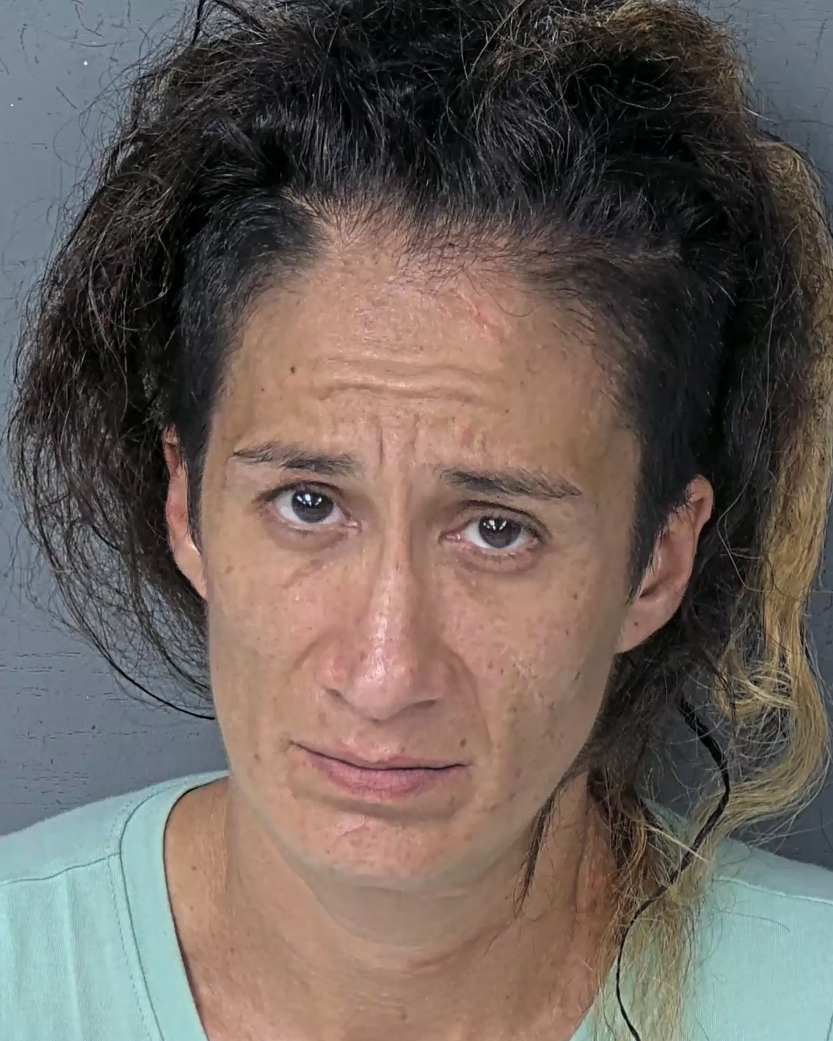Mugshot of MARIA ELENA VALDES