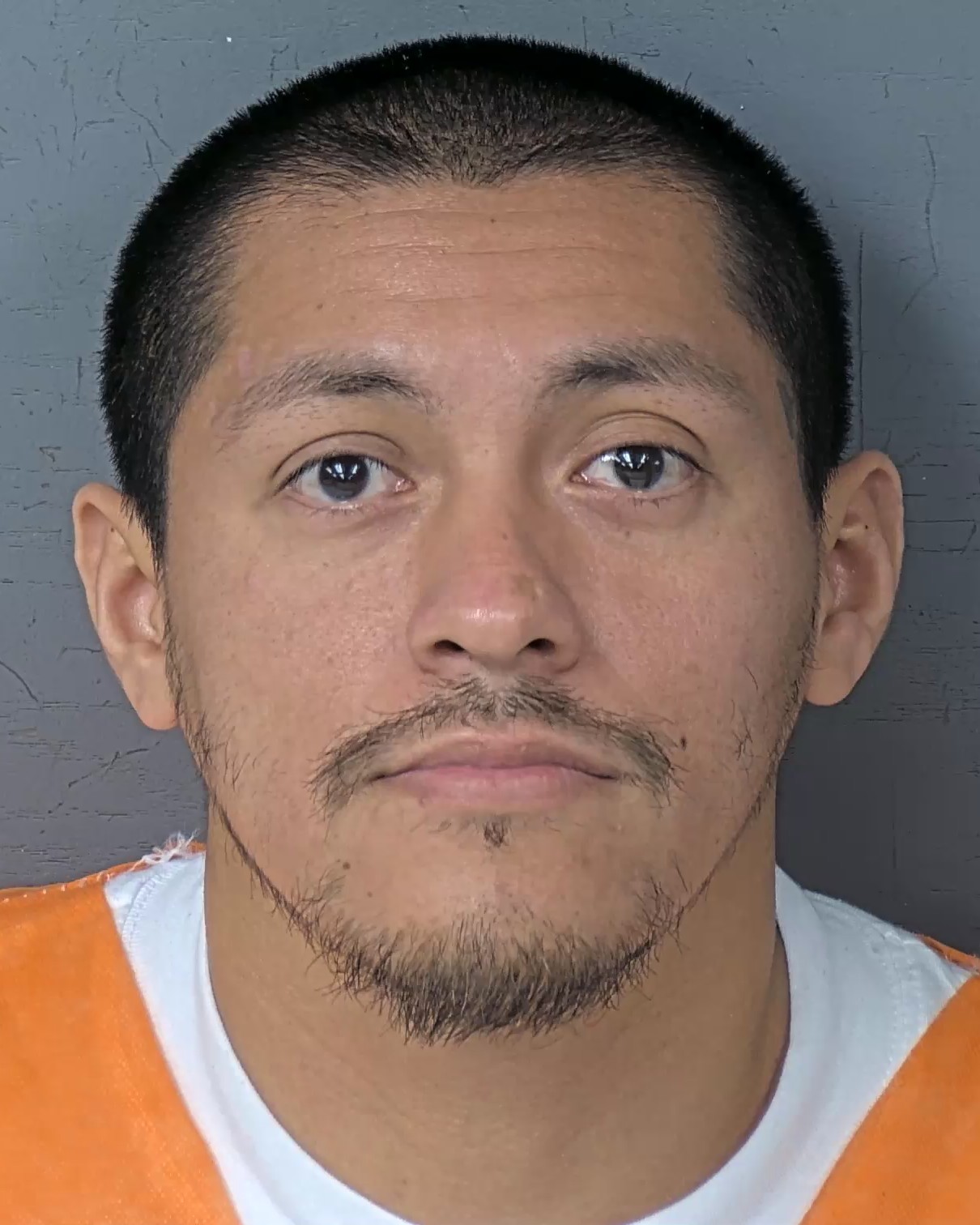 Mugshot of JUAN FALCON