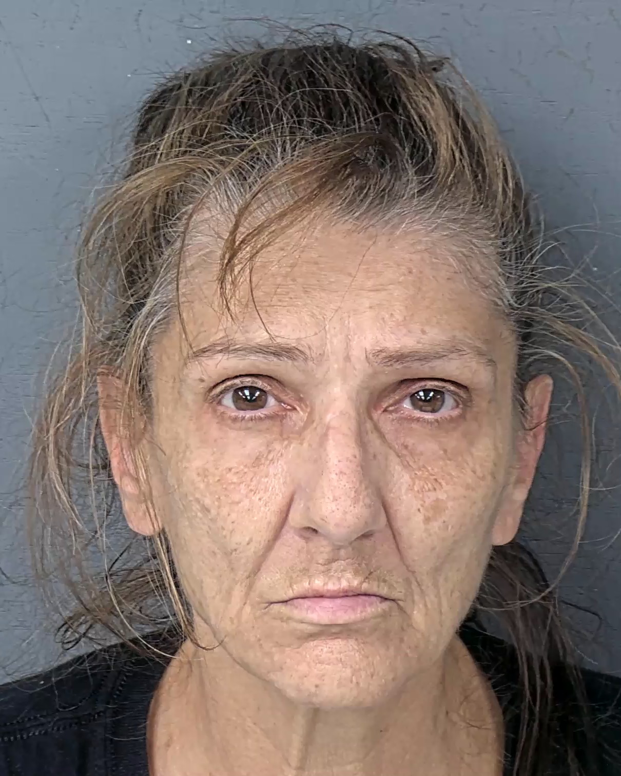 Mugshot of GAIL ANN GERODIMOS