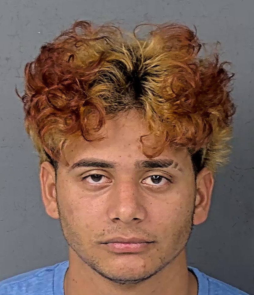 Mugshot of SANTO DOMINGO VASQUEZ MENDOZA