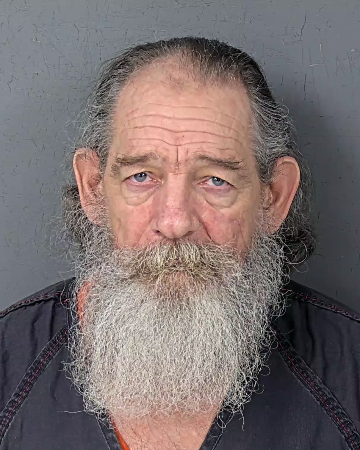 Mugshot of DUANE SANDERS