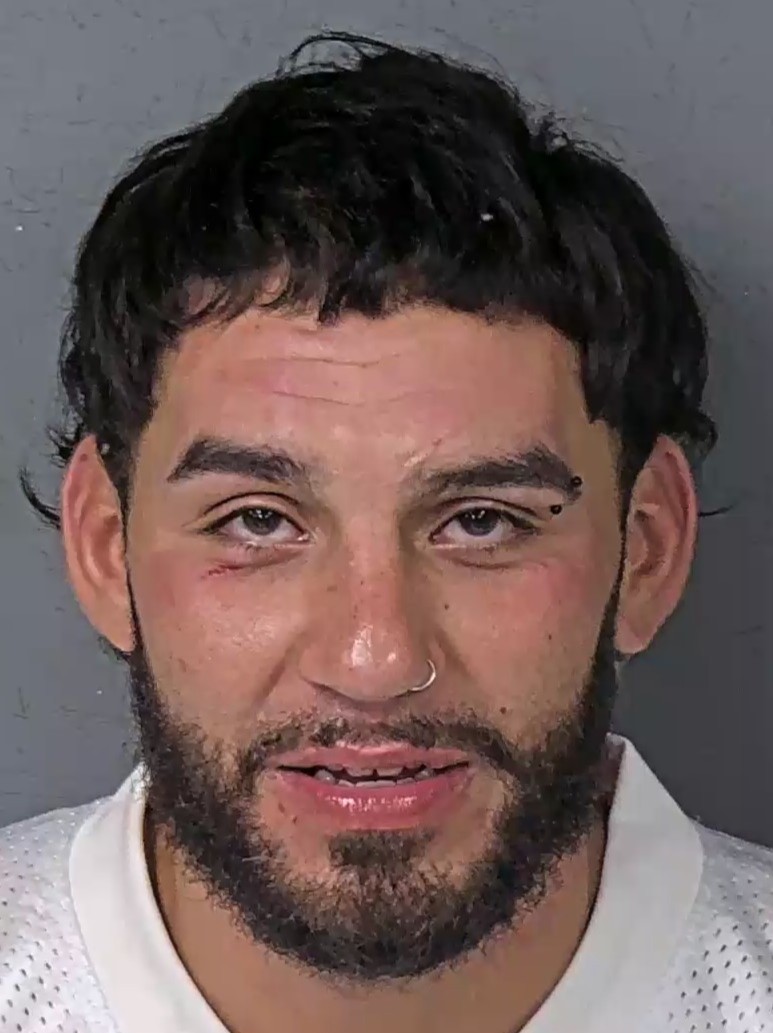 Mugshot of JOE FERNANDO LOREDO