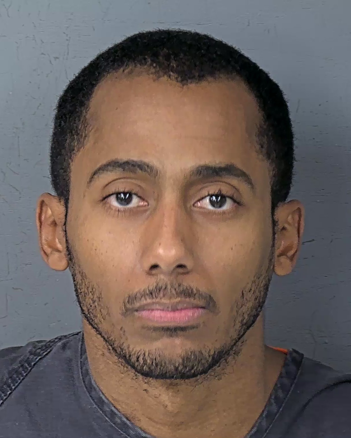 Mugshot of WALBIS POZO DUTEL