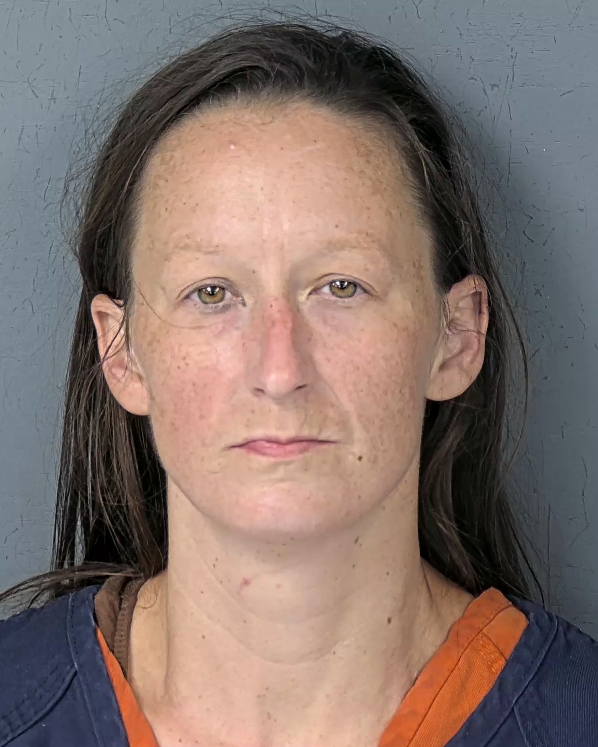 Mugshot of CHASSIDY NICHOLLE NAPIER