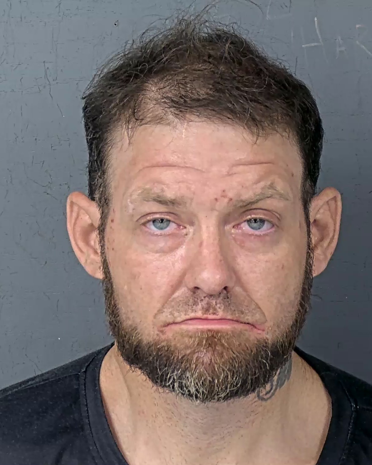 Mugshot of STEVEN ROBERT WENDT