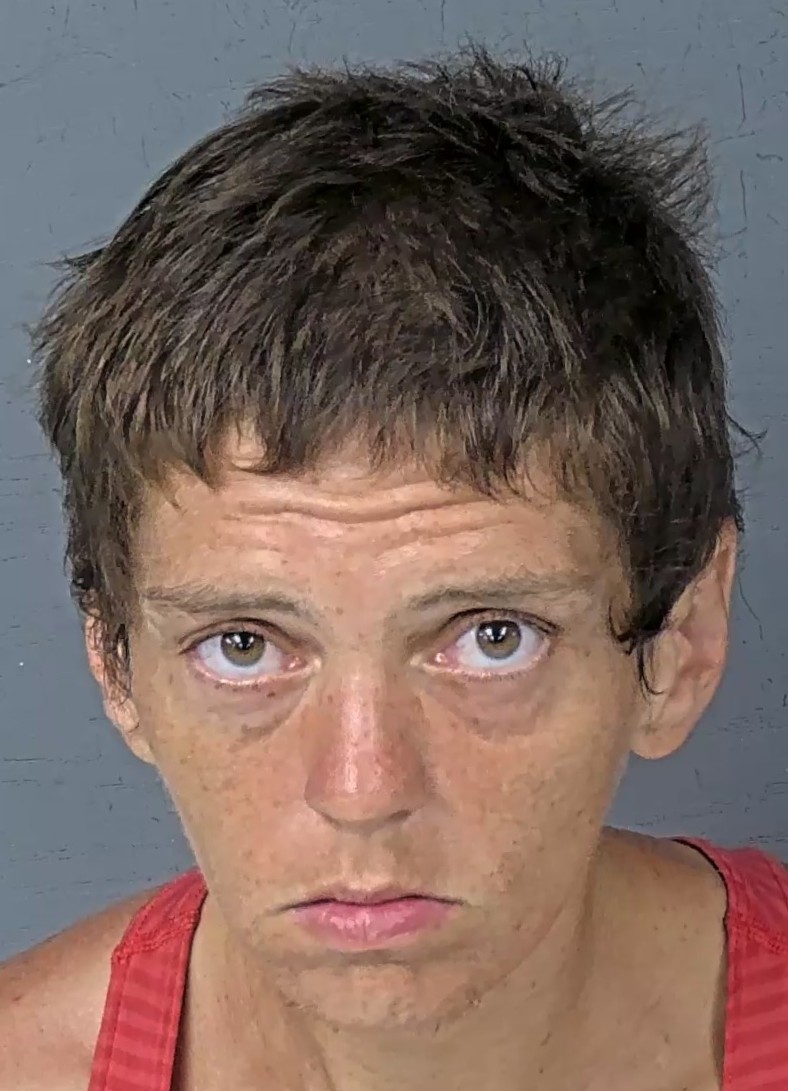 Mugshot of ALECIA ANN HILKEN