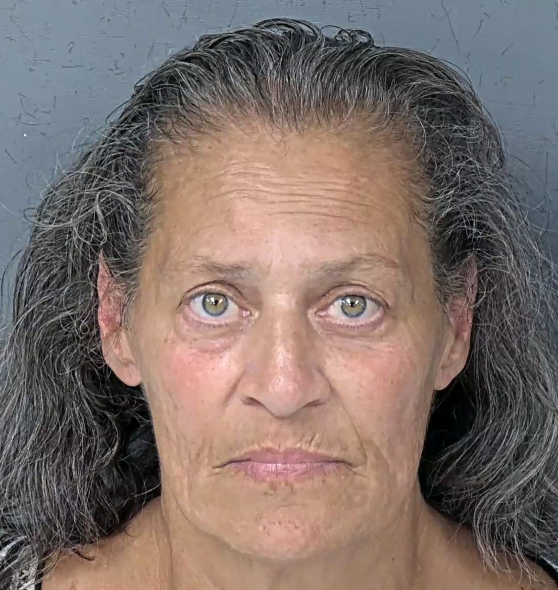 Mugshot of DIANA MICHELE MORRONGIELLO