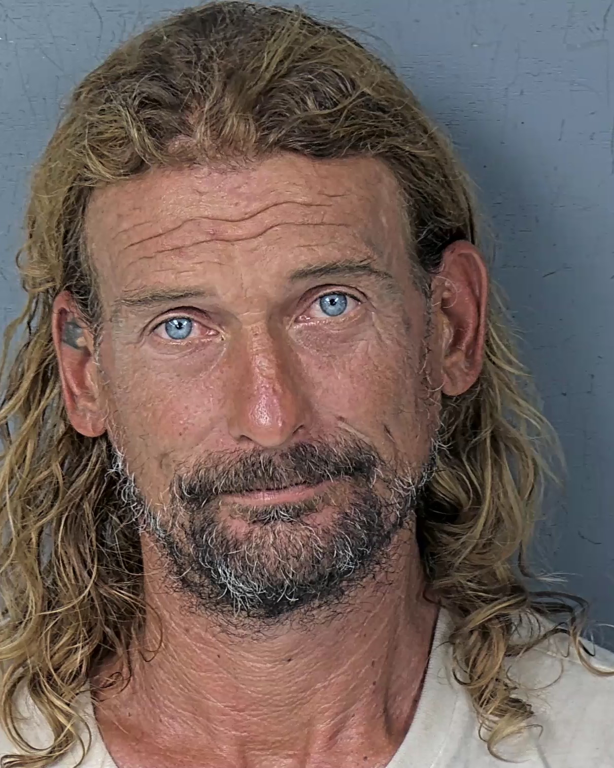 Mugshot of PAUL AMORY DAVISON
