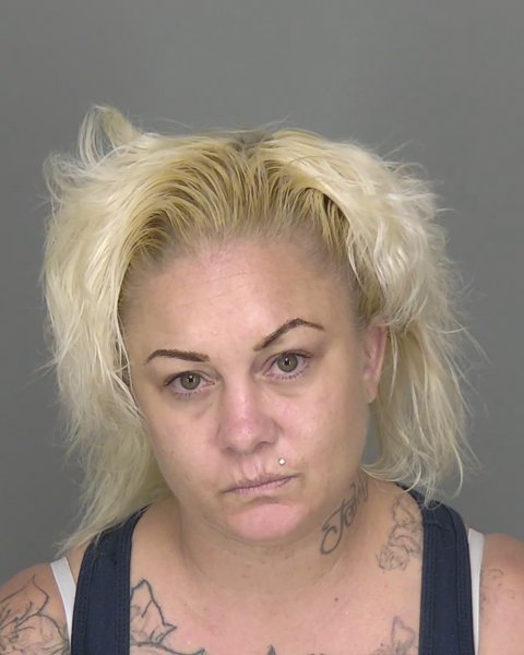 Mugshot of TAMI LEE FORDHAM