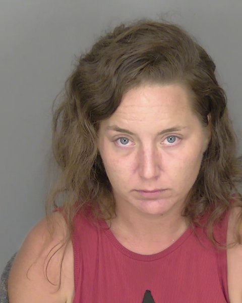 Mugshot of SARAH MARIE CALABRO