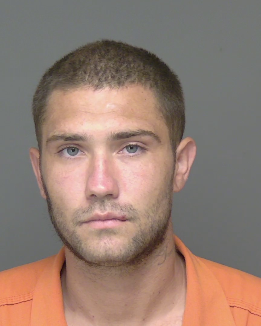 Mugshot of MICHAEL LOGAN YORK