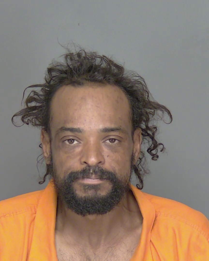 Mugshot of LUIS TORRES