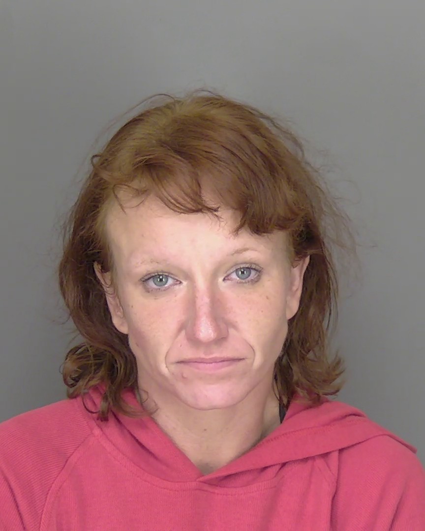 Mugshot of STEPHANIE MARIE ROBINSON