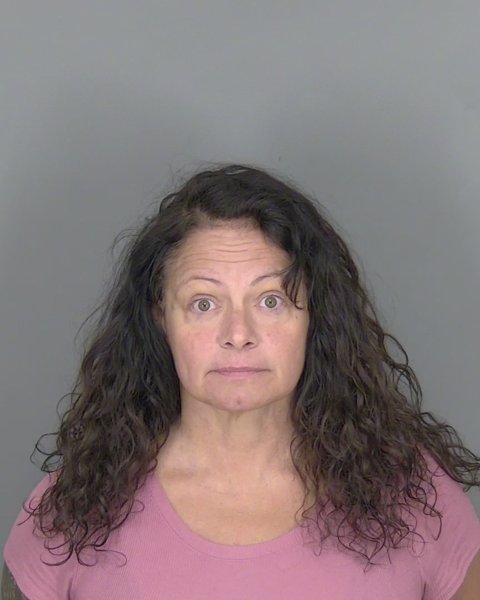 Mugshot of DONNA LAVONNE SMITH