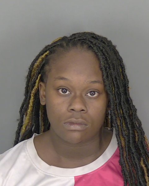 Mugshot of TYNESHA FLORA LETICIA OWENS-BURSE