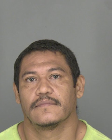 Mugshot of J AMPARO AVILA CISNEROS