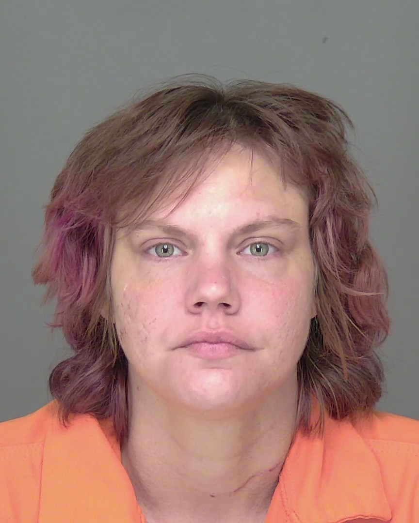 Mugshot of ANSLEY ELIZABETH PARDEE