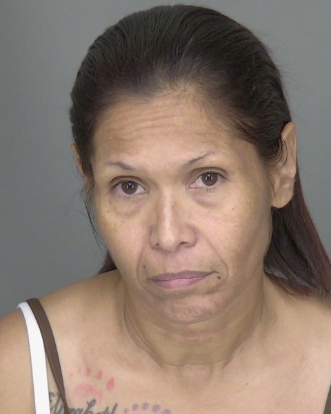Mugshot of DAMARYS FLEITAS