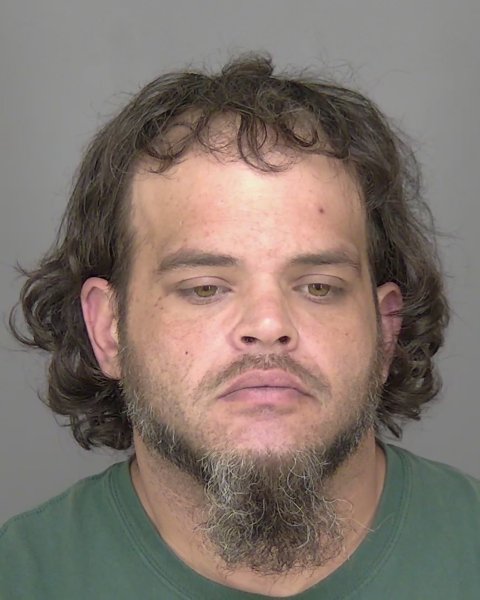 Mugshot of BRYAN ALEXANDER FERNANDEZ