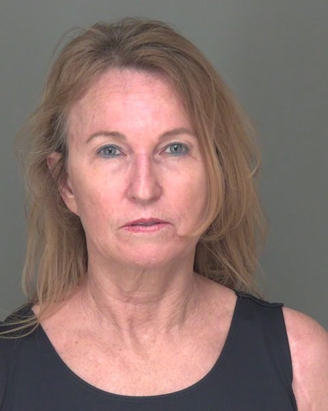 Mugshot of DONNA KAY WOLF