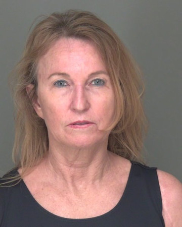 Mugshot of DONNA KAY WOLF