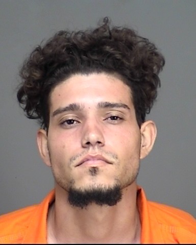 Mugshot of ELIA CRUZ