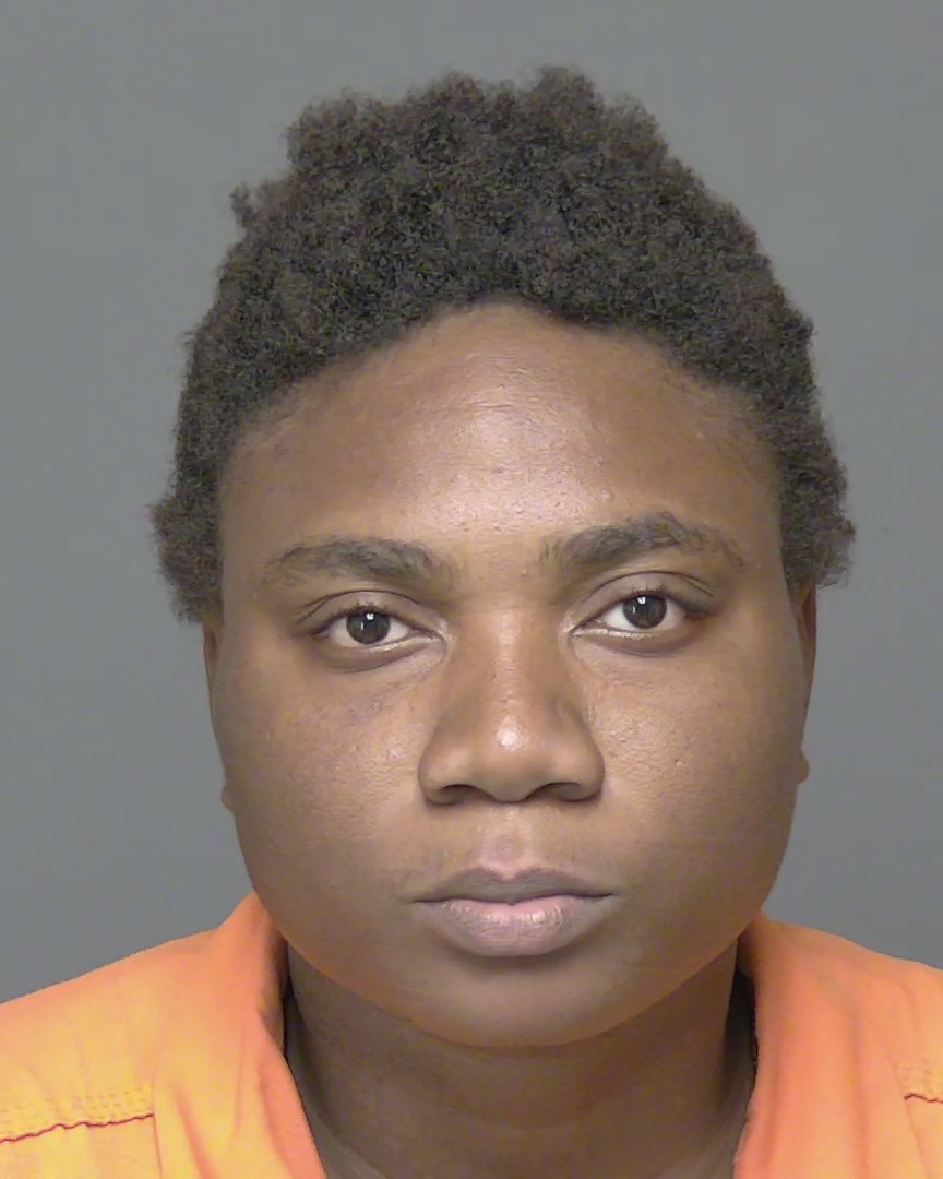Mugshot of SAGINE N DELVA