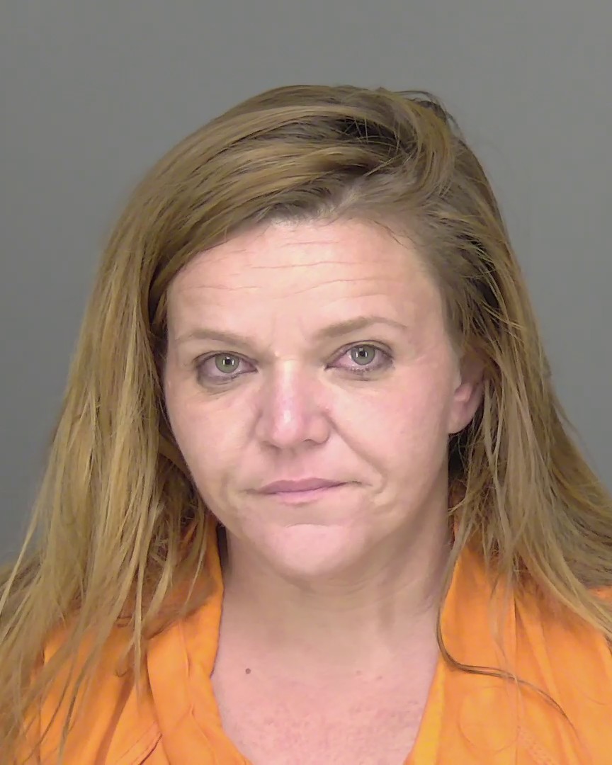 Mugshot of ROBIN CORRINE MCGEE