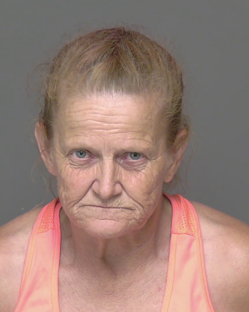 Mugshot of CHRISTINA MARIE HARVEY