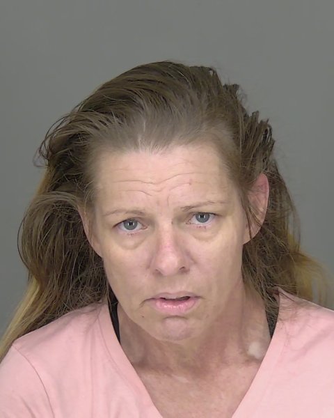 Mugshot of LAURA LYNN DEESE
