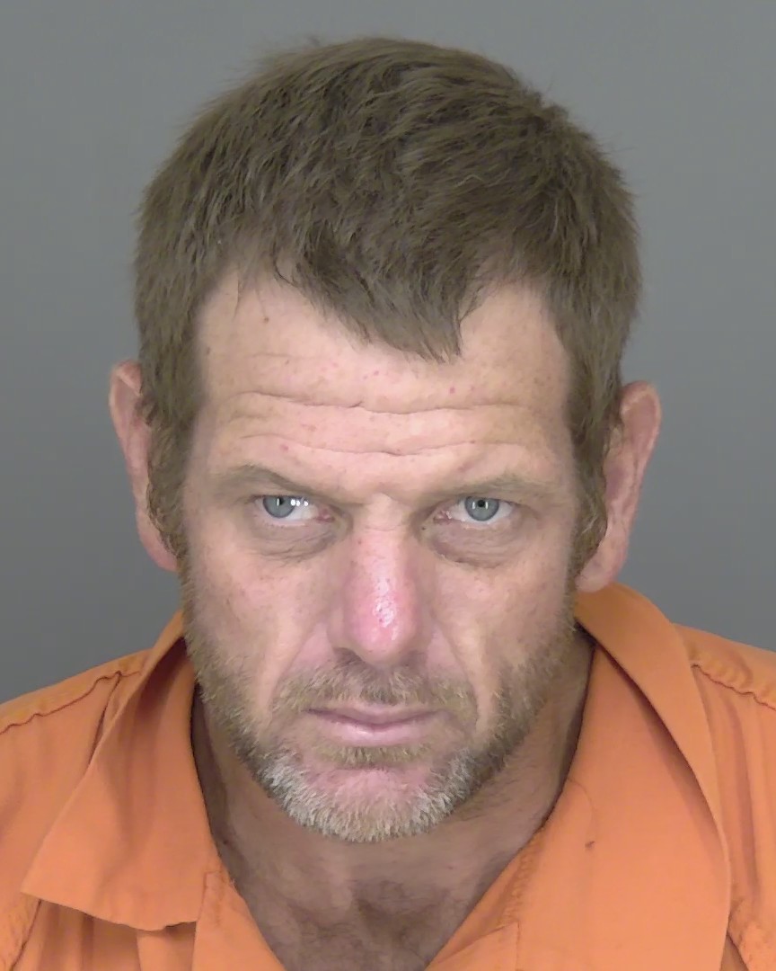 Mugshot of RONALD WADE PALMER