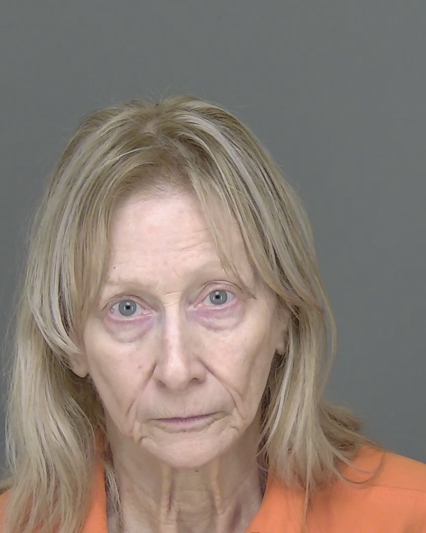Mugshot of RONNA MARIE LADUE