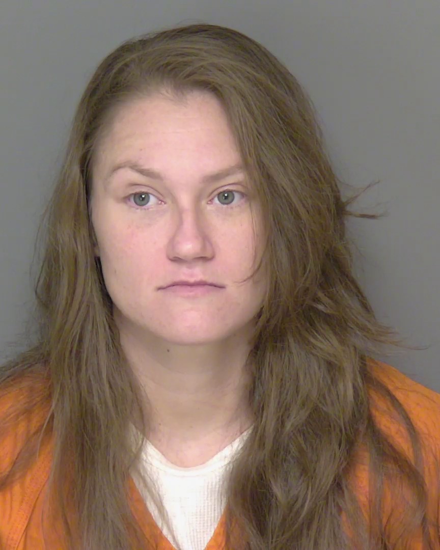 Mugshot of LESLIE ANN WARD