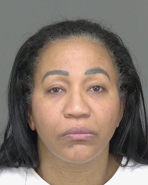 Mugshot of ROSA ISABEL CASTILLO