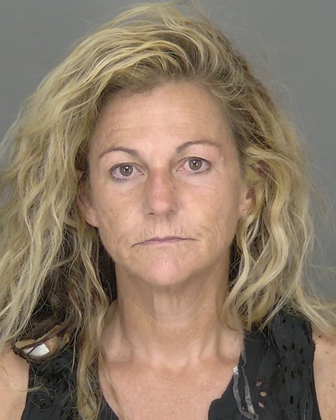 Mugshot of BRIDGETT FAYE WALDRON