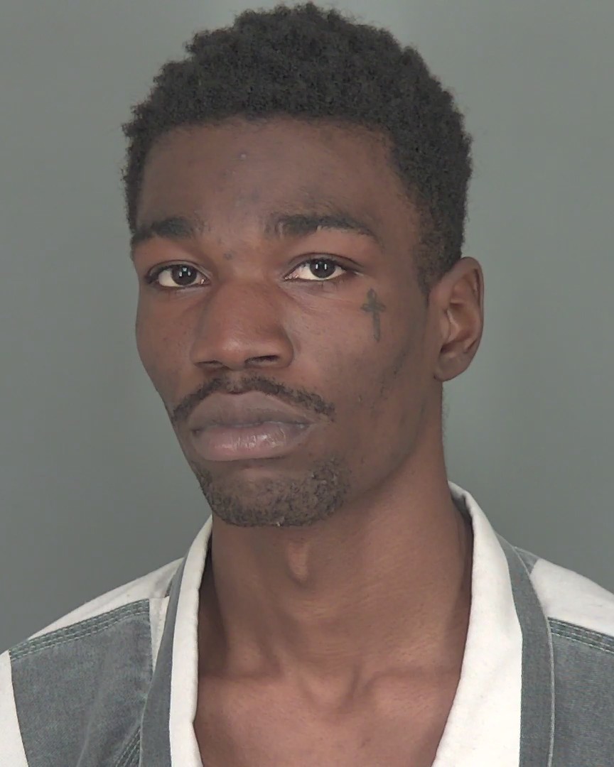 Mugshot of JUNIOR MARC LOUIS