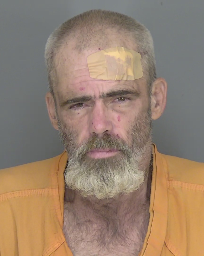 Mugshot of TIMOTHY JOHN SOUTH