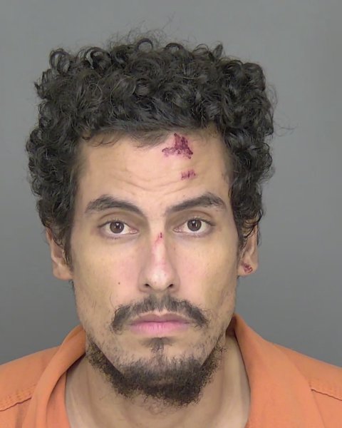 Mugshot of JAMES ANTHONY HOLDING HERNANDEZ